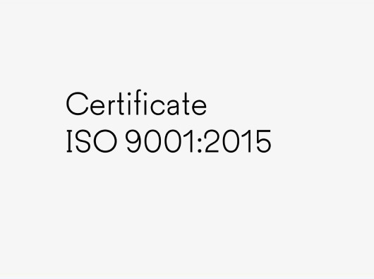 iso 9001 en